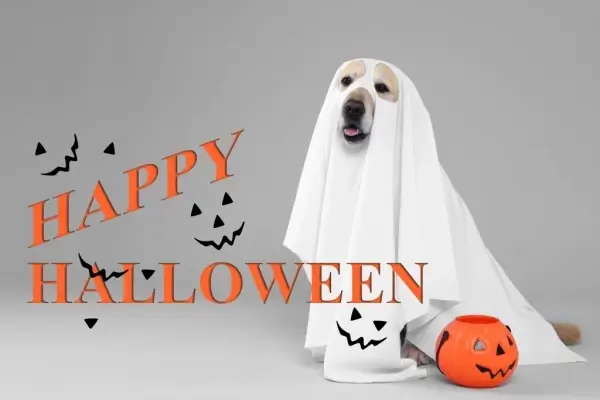 Happy Halloween from Encompass Mortgage Services, inc.